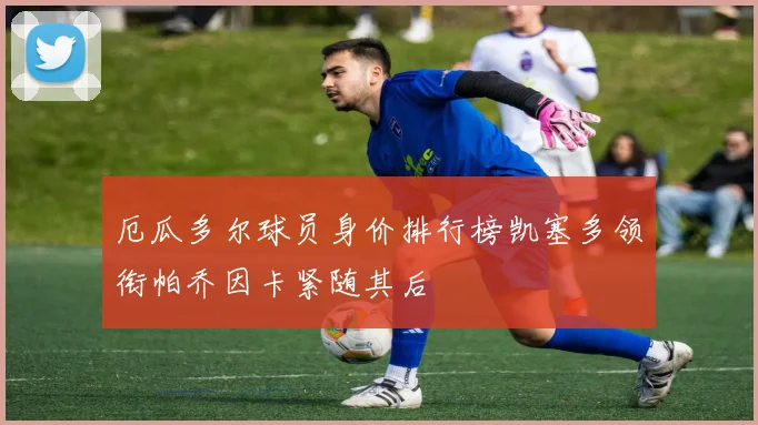 厄瓜多尔球员身价排行榜凯塞多领衔帕乔因卡紧随其后