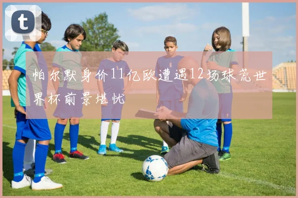 帕尔默身价11亿欧遭遇12场球荒世界杯前景堪忧