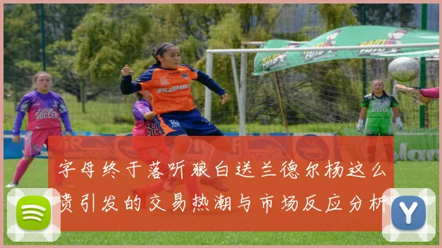 字母终于落听狼白送兰德尔杨这么贵引发的交易热潮与市场反应分析