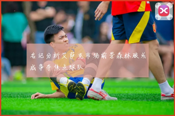 名记分析艾萨克市场前景森林狼或成争夺焦点球队