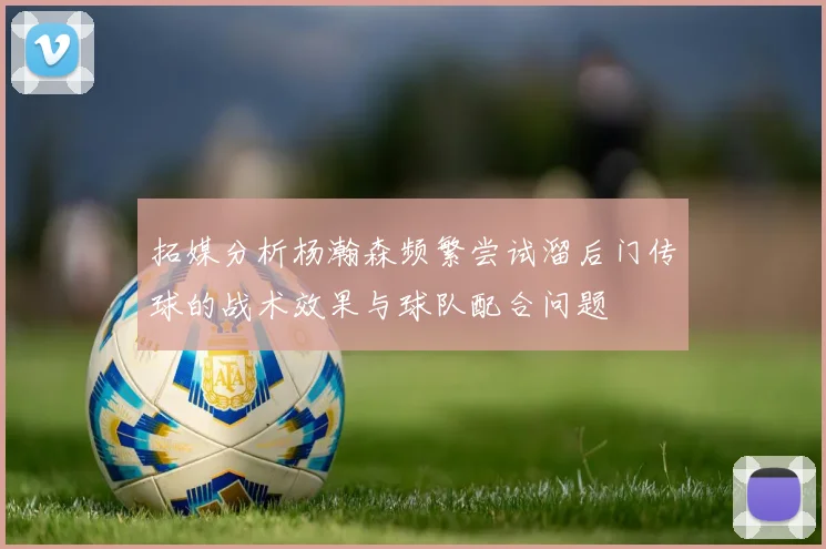 拓媒分析杨瀚森频繁尝试溜后门传球的战术效果与球队配合问题
